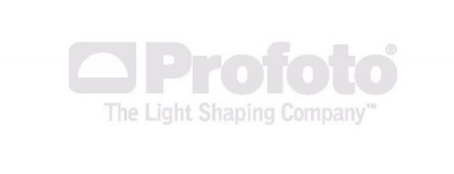 profotoLogoCON SPAZIO BIANCO A DX